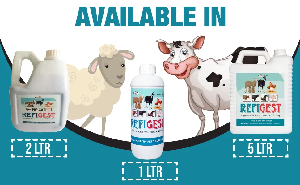 digestive tonic for cattle