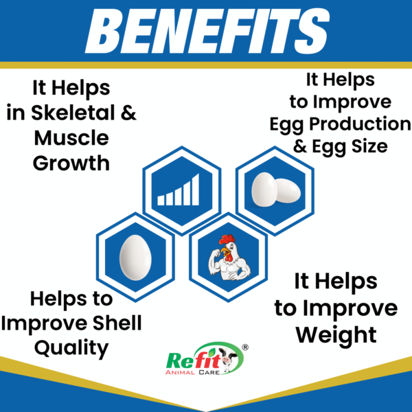 egg king benefits.png