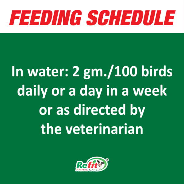 feeding actipigeon scaled 1.png