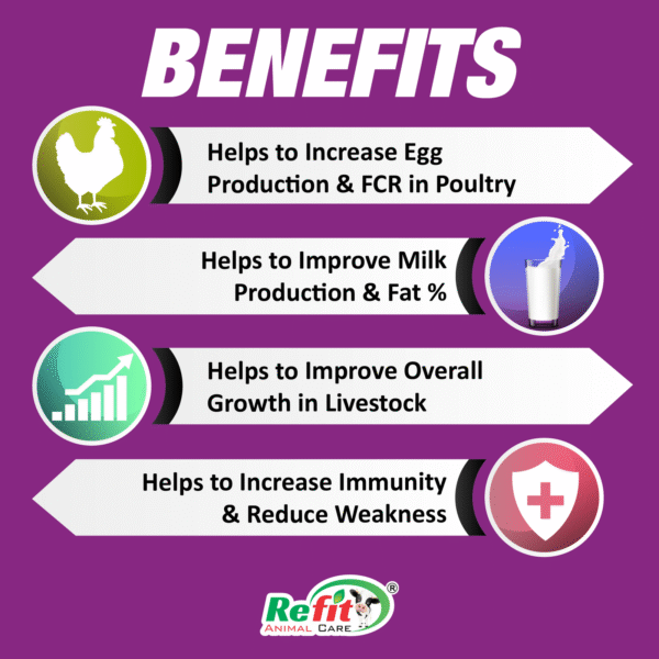 fitphyte benefits.png
