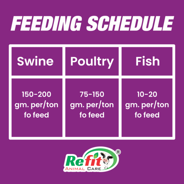 fitphyte feeding.png