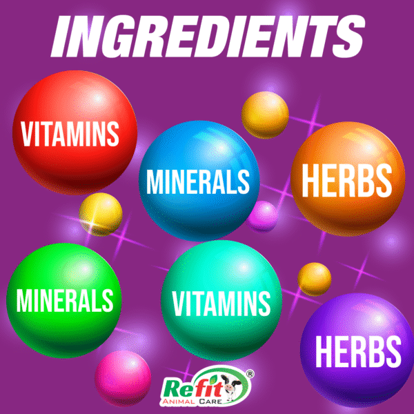 fitphyte ingredients.png