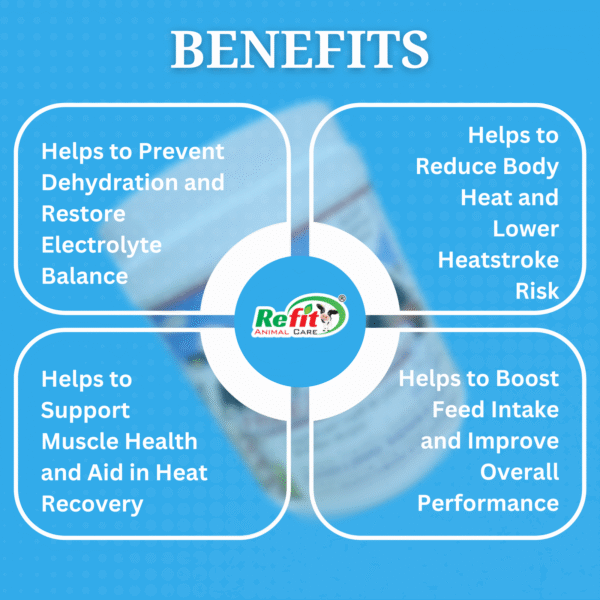 freezlyte benefits.png