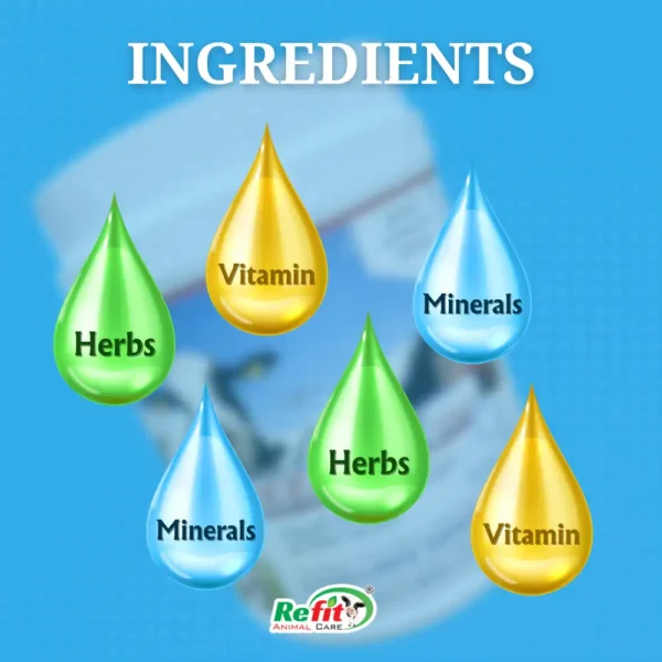 freezlyte ingredients 1.webp