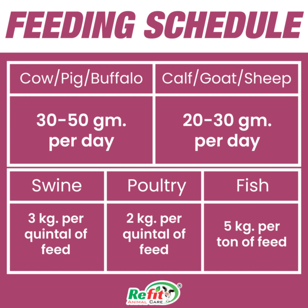 grobest feeding.png