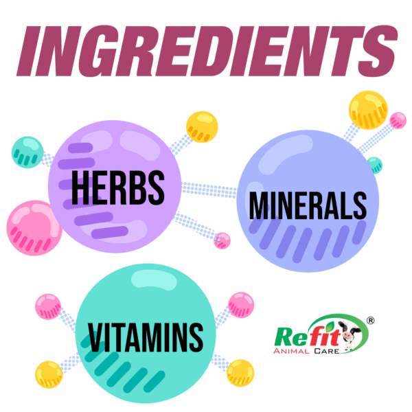 grobest ingredients.png