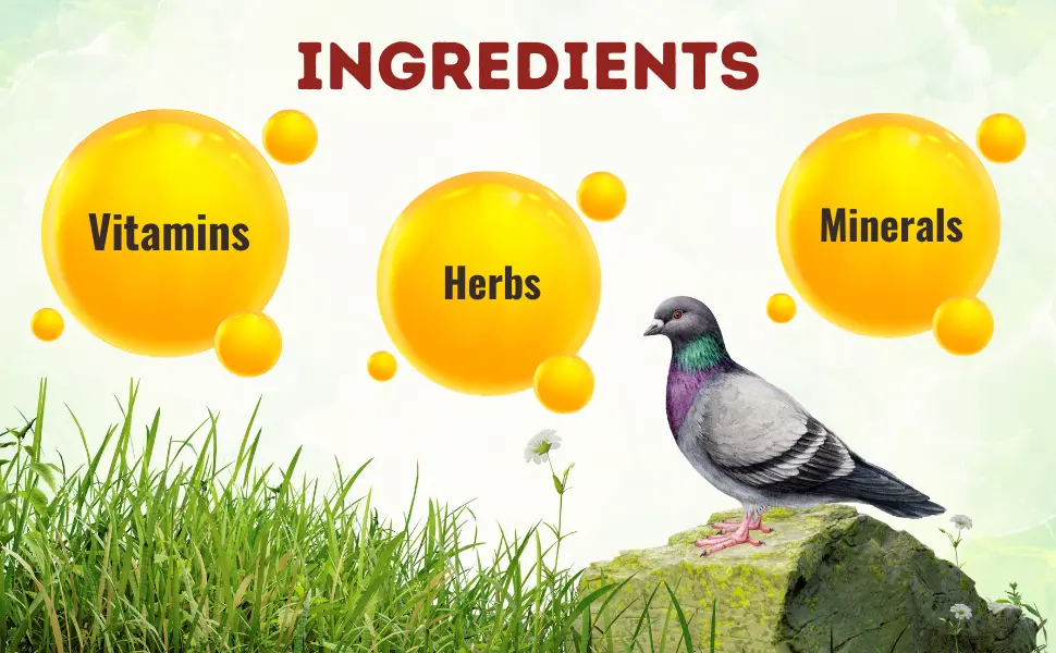 growth booster for pigeons