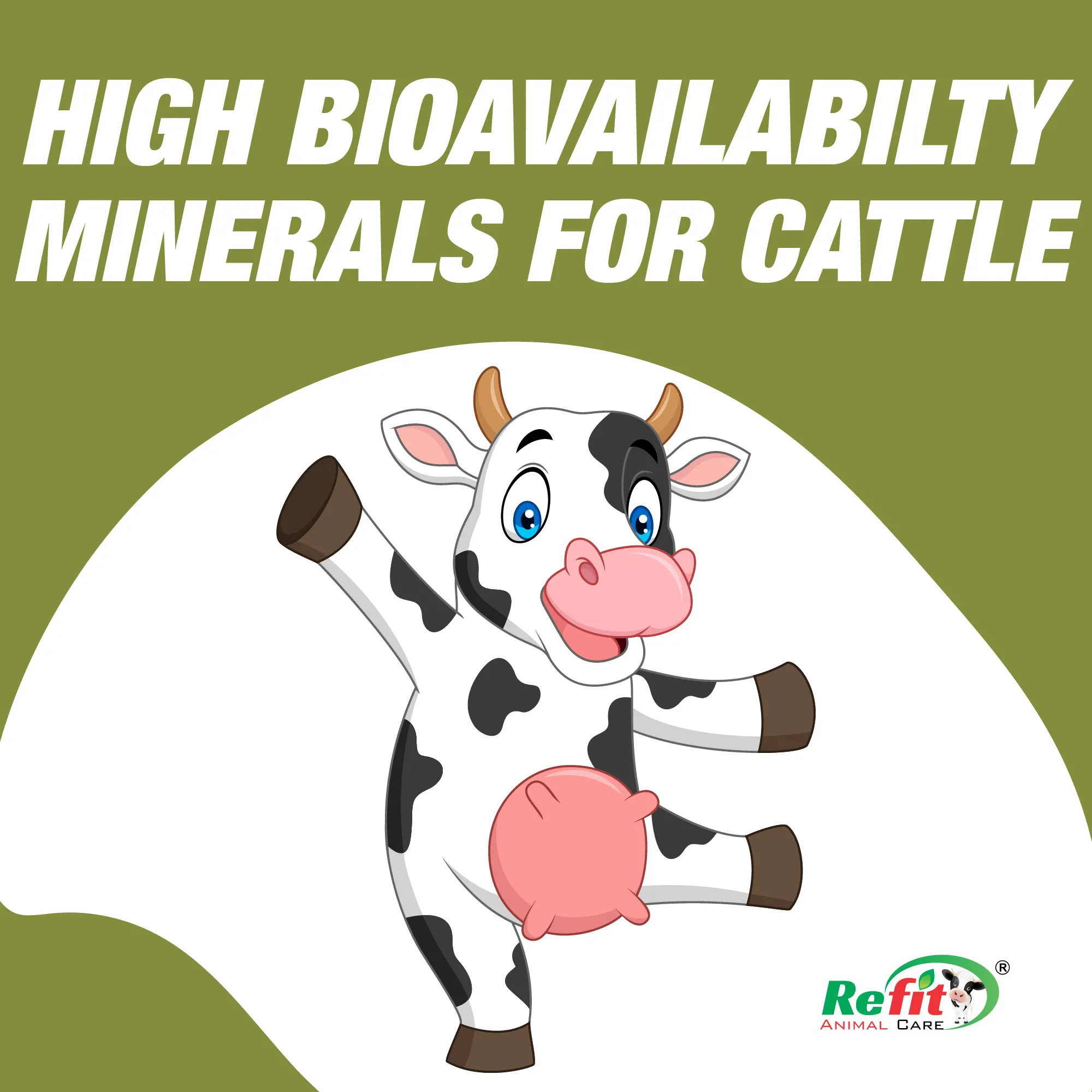 high biaoavialiblity