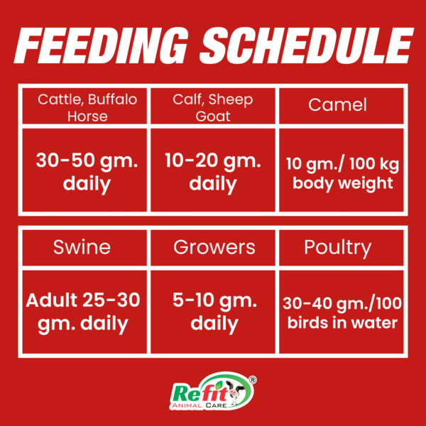 i jelly feeding.png