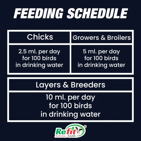 jombo feeding.webp