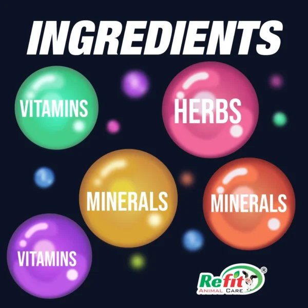 jombo ingredients.webp