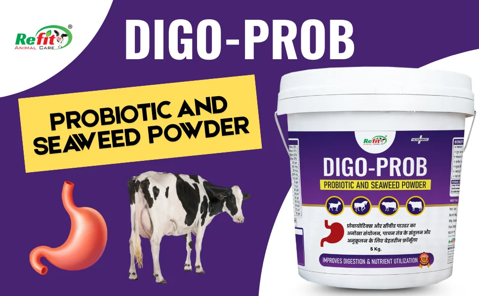 livestock probiotic powder livestock probiotic powder