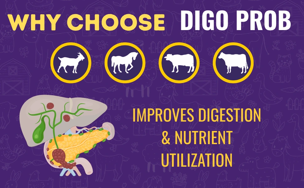 livestock probiotic supplement livestock probiotic supplement