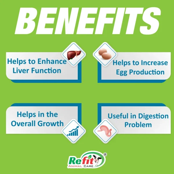 livozip benefits.webp