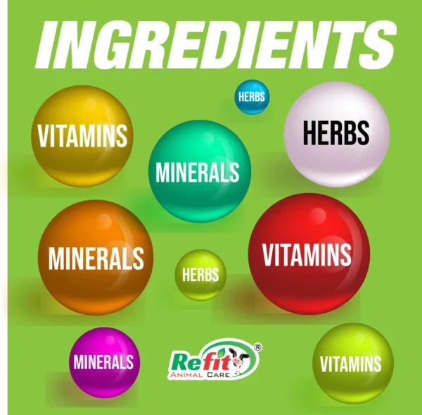 livozip ingredients.webp