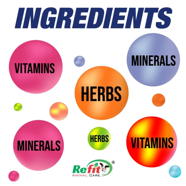 mashup ingredients.webp