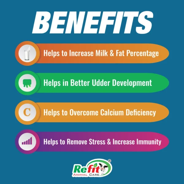 milkyboon benefits.webp