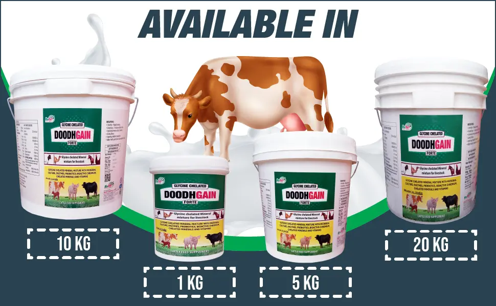 mineral mixture for buffalo