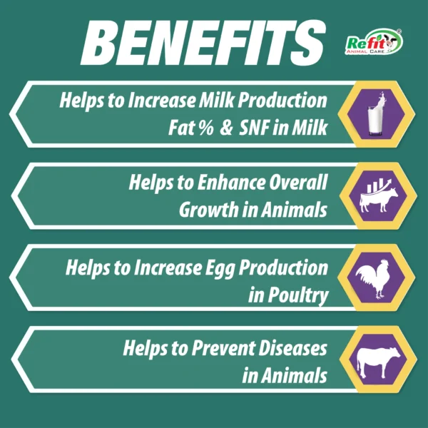 minfeed benefits.webp