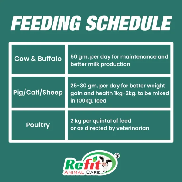 minfeed feeding.webp