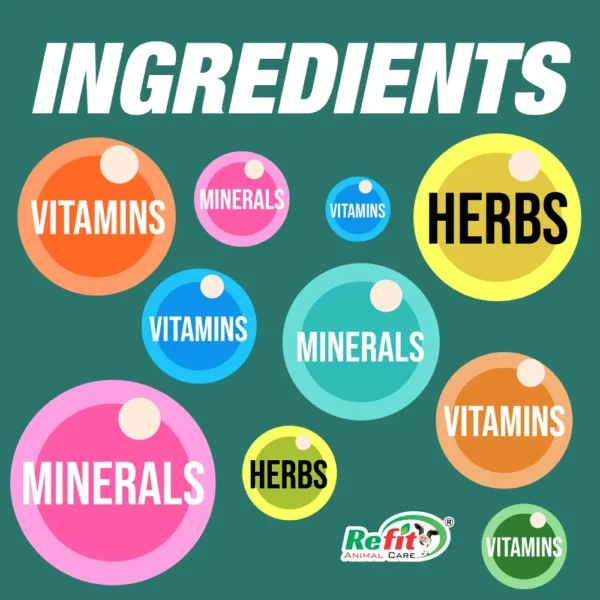 minfeed ingredients.webp