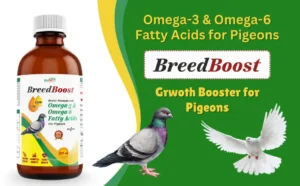 omega 3 and omega 6 for pigeon