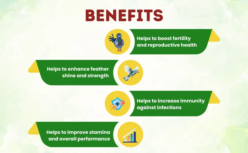 omega 3 and omega 6 for pigeons