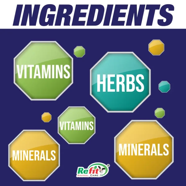 oxyforte ingredients.webp