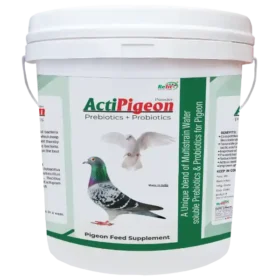 pigeon prebiotics and probiotic supplement.webp