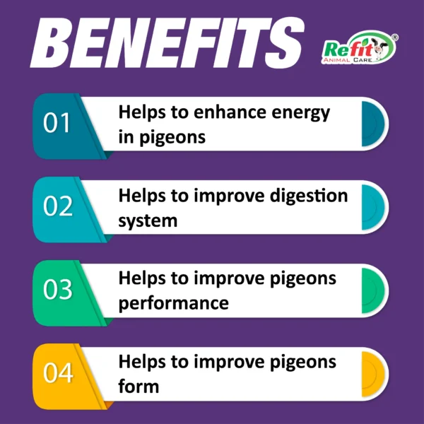 pigeonvita benefits.webp