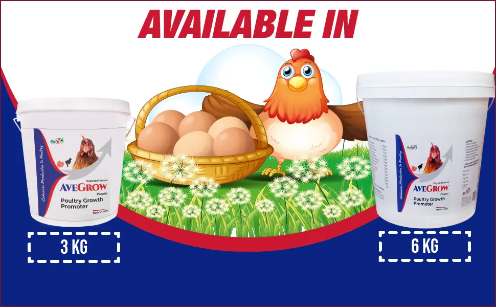 poultry feed supplement