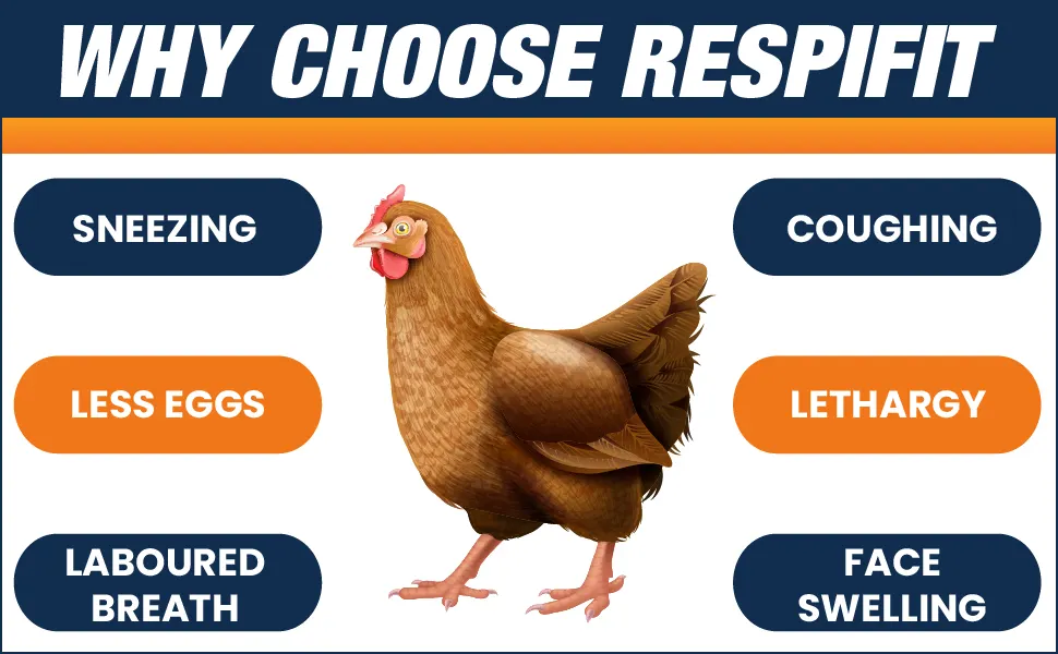 poultry vitamin supplements