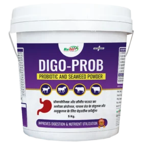 probiotic and seaweed powder