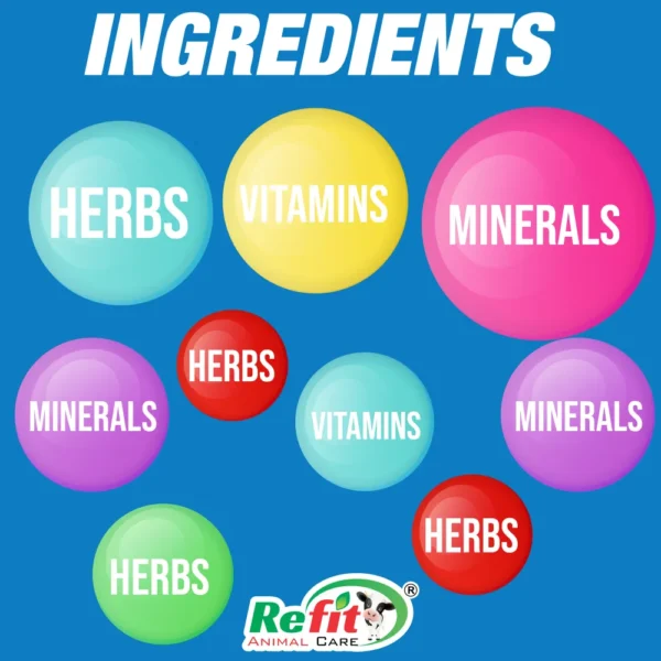 r aqua ingredients.webp