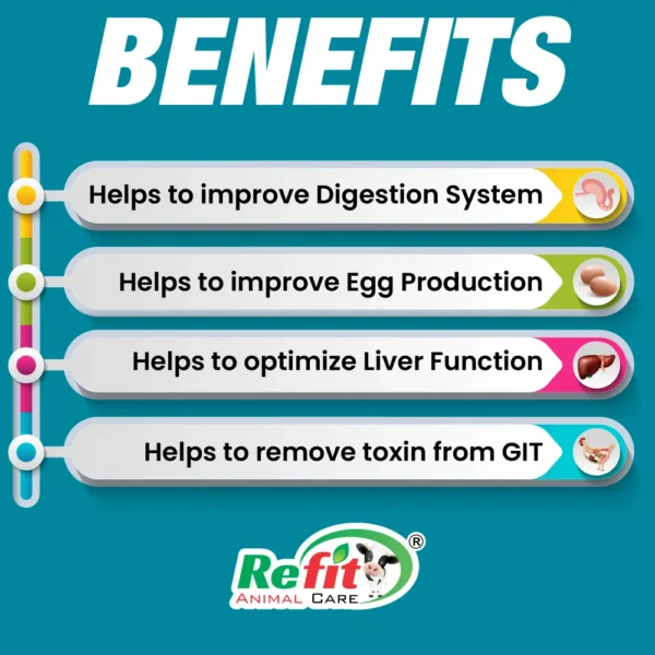 refigest benefits.webp