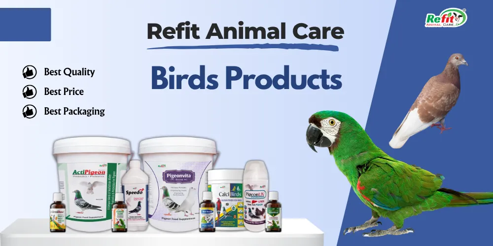 refit birds products