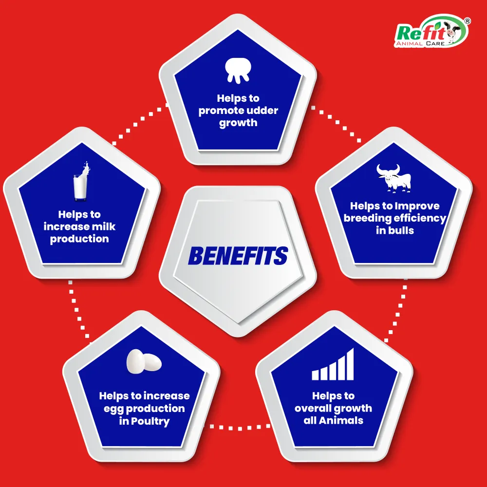 reshell h benefits.webp