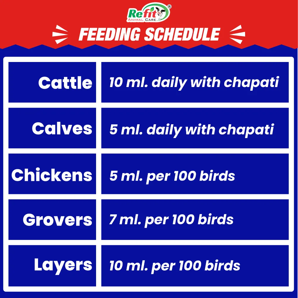 reshell h feeding.webp