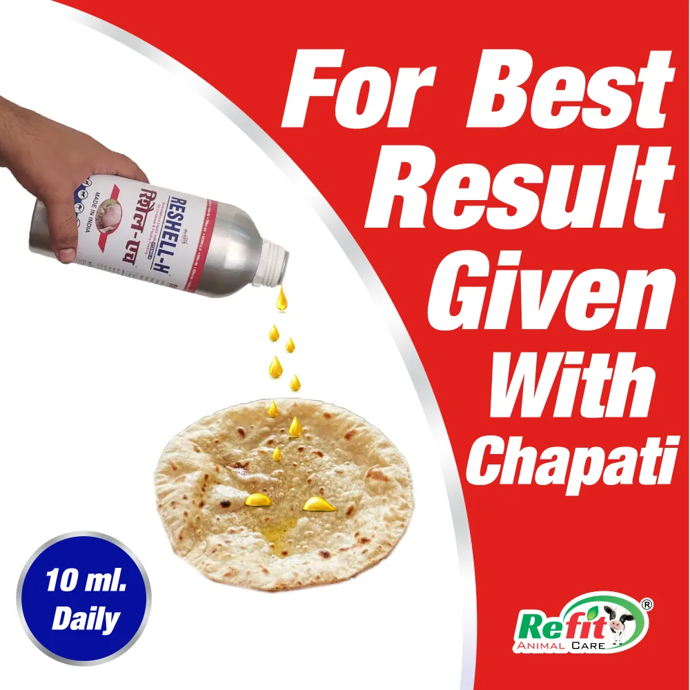 reshell h whychoose.webp