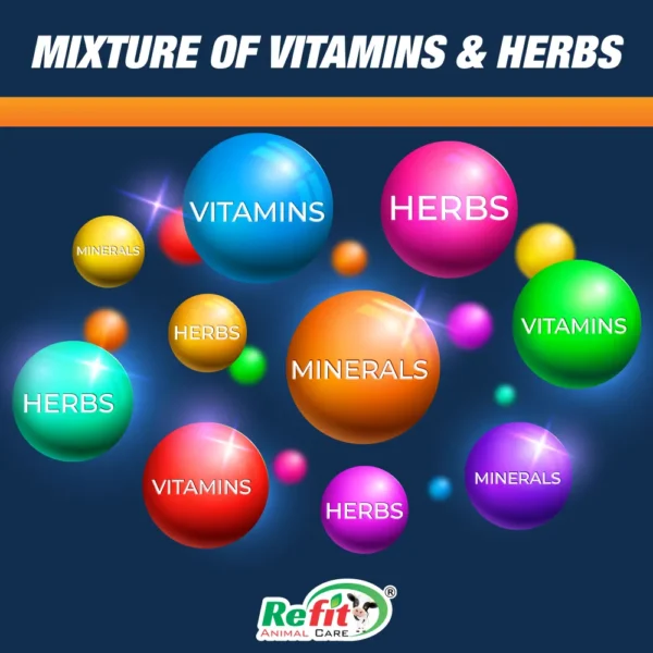 respifit ingredients.webp