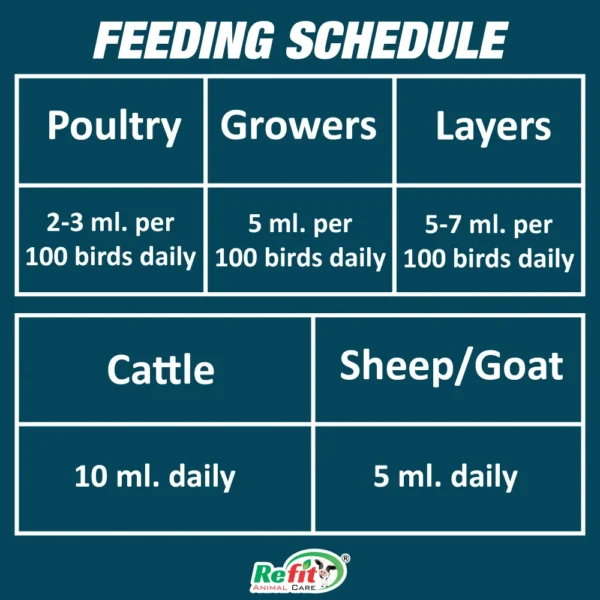 revita b12 feeding.webp
