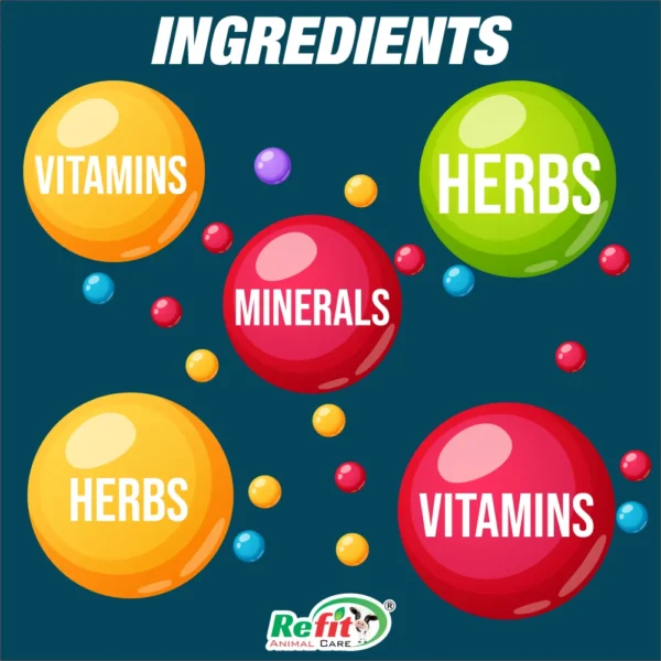 revita b12 ingredients.webp