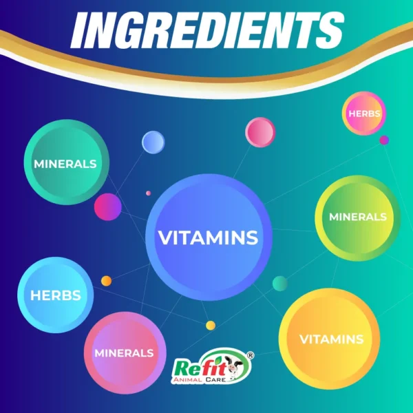 rigmin aqua ingredients.webp