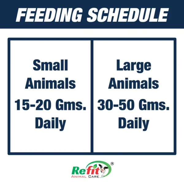 rigmin feeding.webp