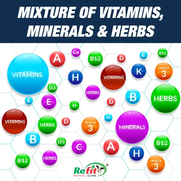 rigmin ingredients.webp