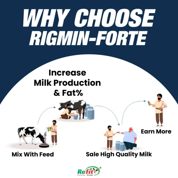 rigmin whychoose.webp