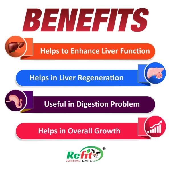 rivliv benefits.webp
