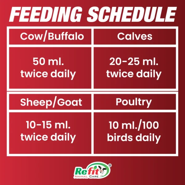 rivliv feeding.webp