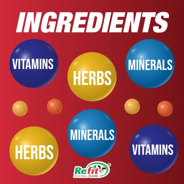 rivliv ingredients.webp