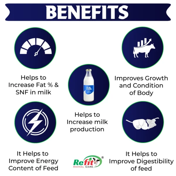 rumofat benefits.webp